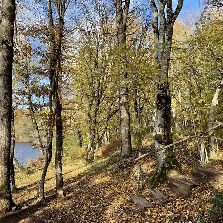 Сasa de vacaciones Gite Nature Avec Terrasse, Pres Etang Morat, Peche, Wi-fi, Ideal Famille Et Randonneurs - Fr-1-489-415 Saint-Bonnet-Tronçais